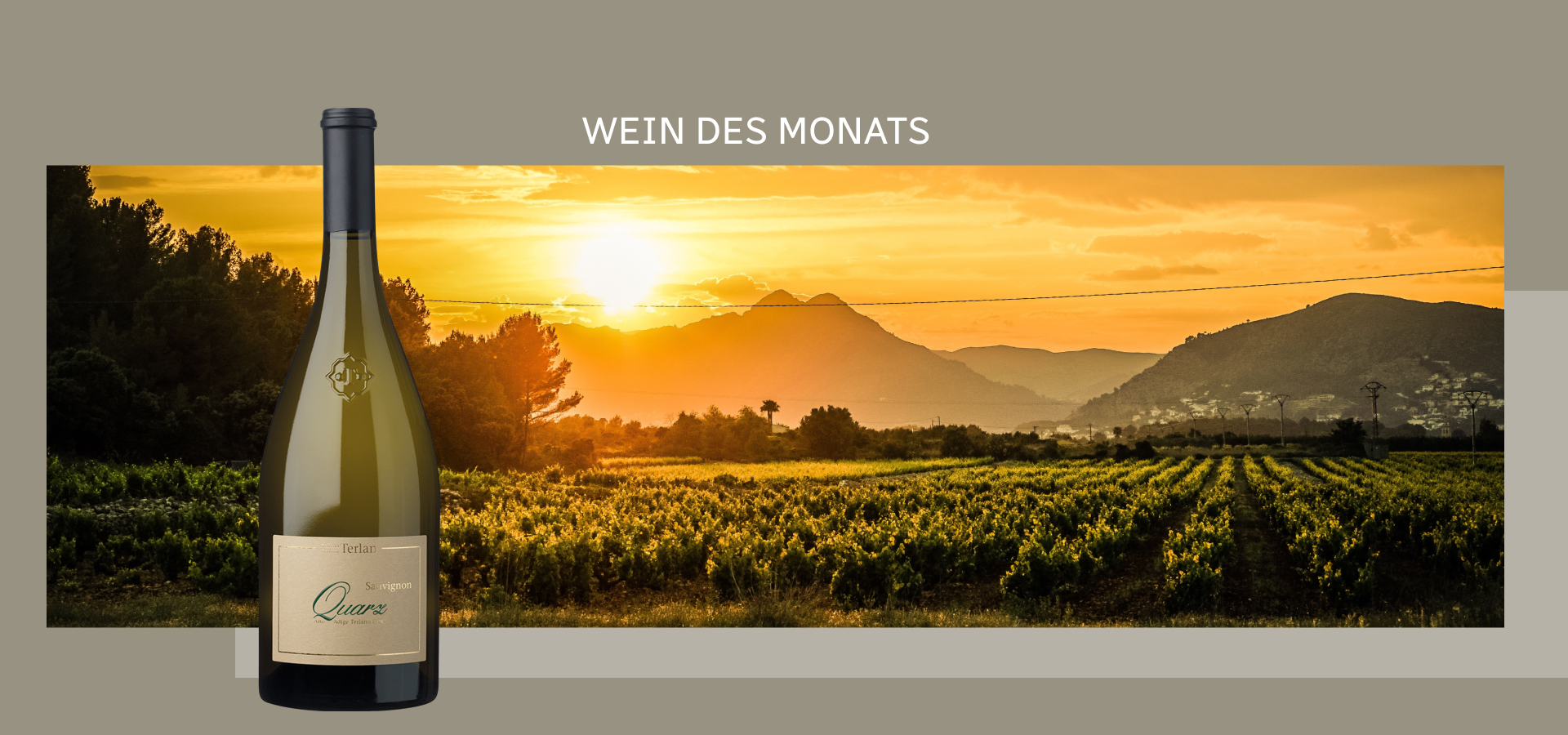 Trend_ Slider 2_Wein
