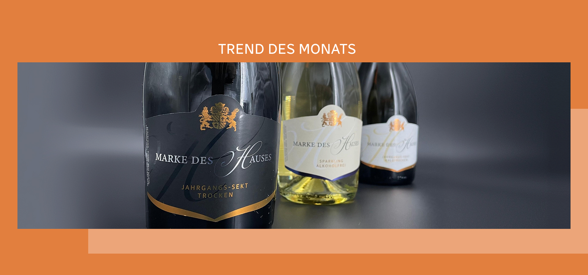 Trend_ Slider 3
